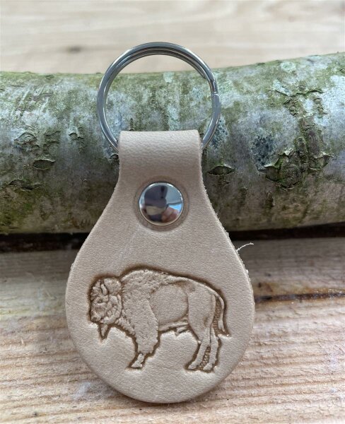 Bison
